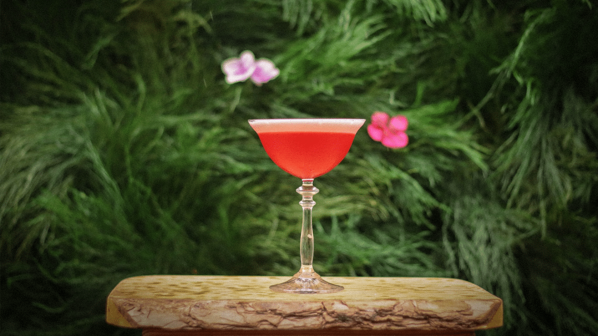 Le cocktail rouge
