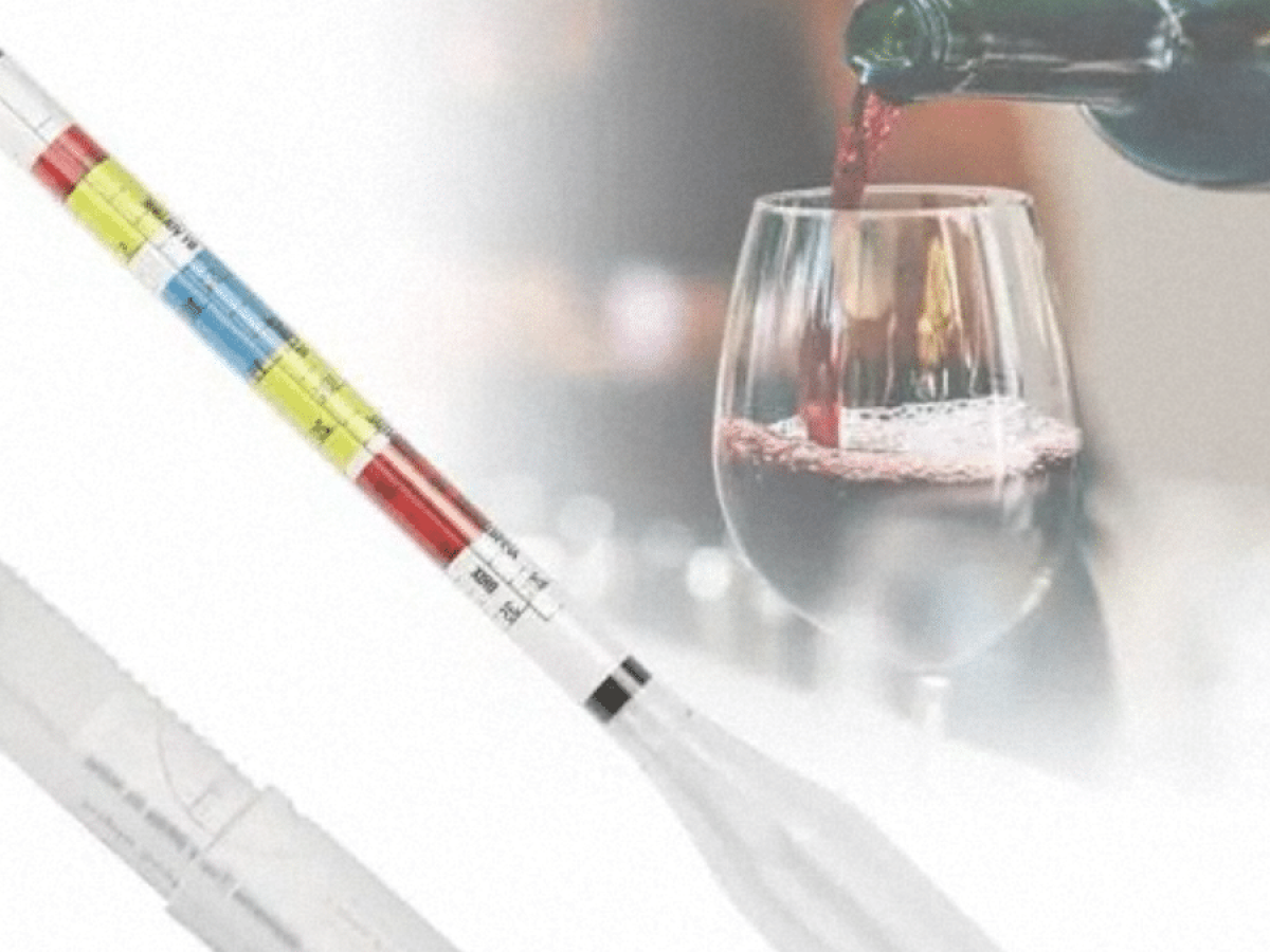 XIESK Alcoomètre Pèse-Alcool Densimètre 0-100 Vol% pour Alcool distillé et  spiri 
